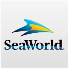 SeaWorld Orlando Dining with Orcas! ADD-ON